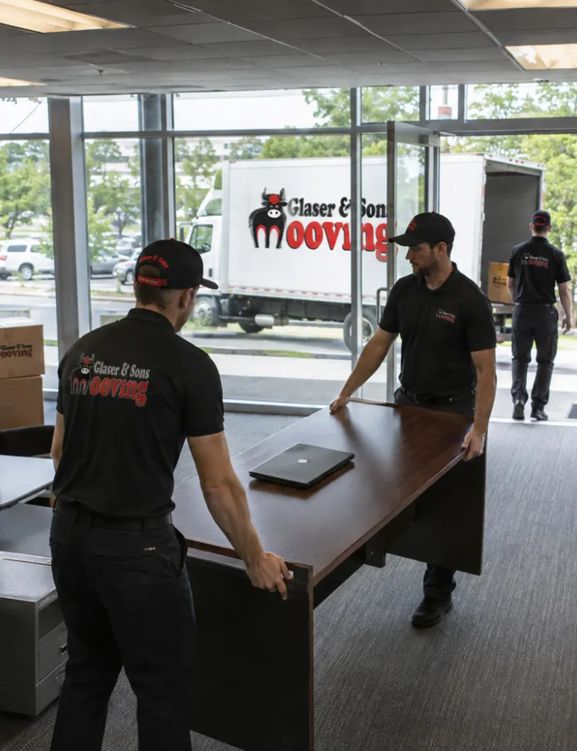 glaser-movin-office